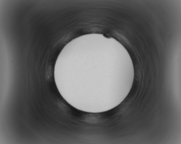 X0000083010077200703021950