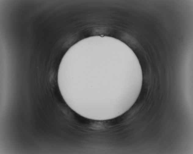 X0000083010079200703021950