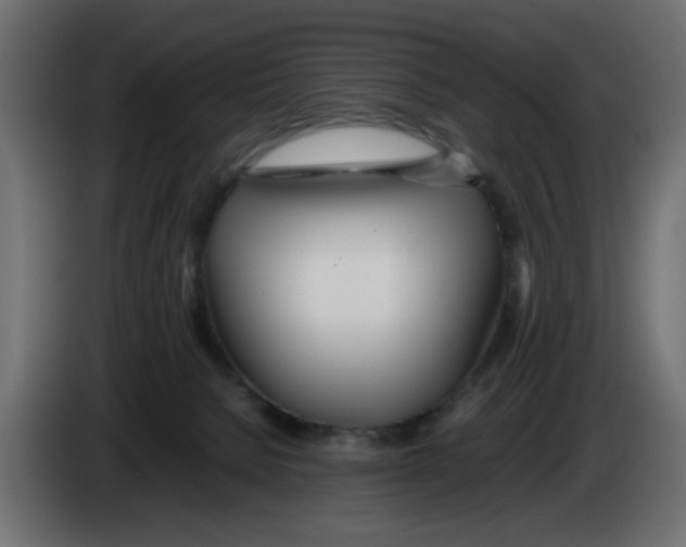 X0000083010080200703021950