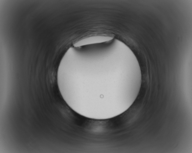 X0000083010081200703021950