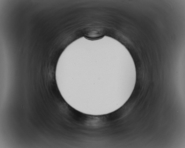 X0000083010083200703021950