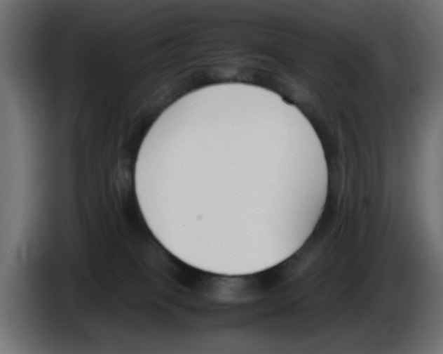 X0000083010085200703021950