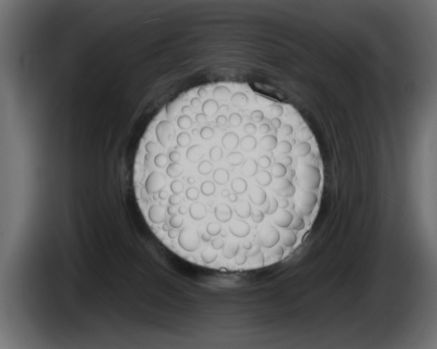 X0000083010086200703021950