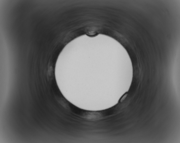 X0000083010087200703021950