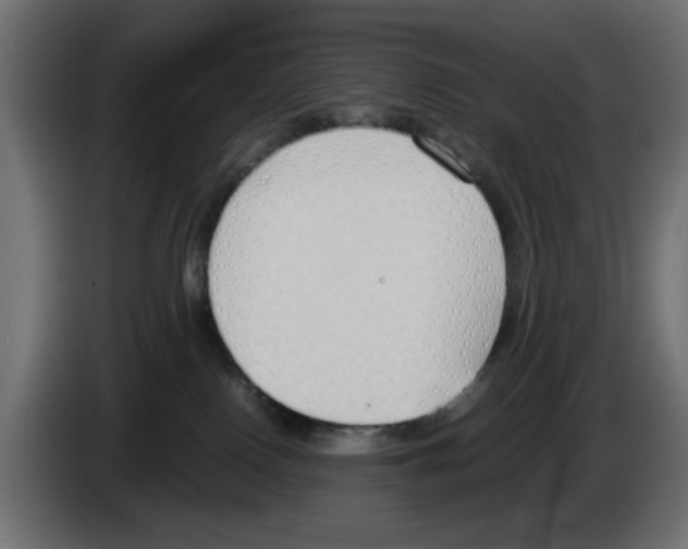 X0000083010090200703021950