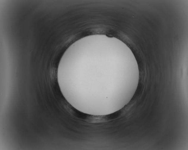 X0000083010093200703021950