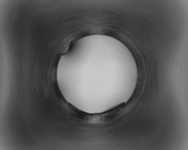 X0000083010096200703021950