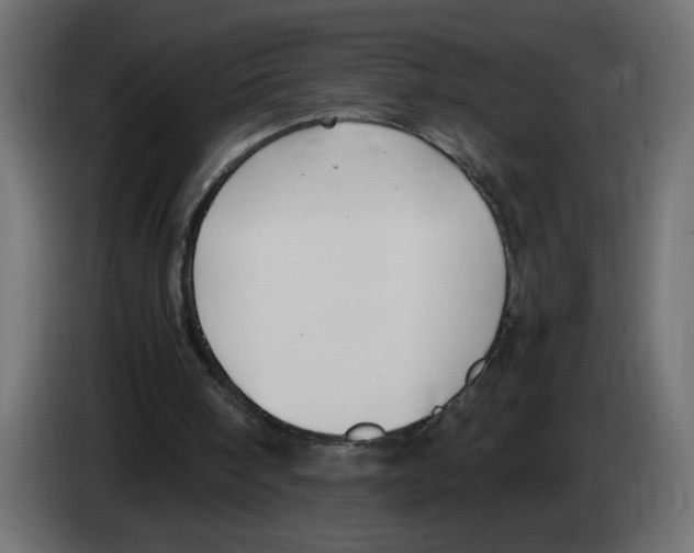 X0000083010098200703021949