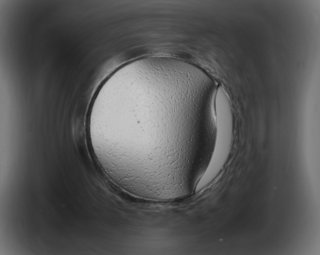 X0000083010099200703021949