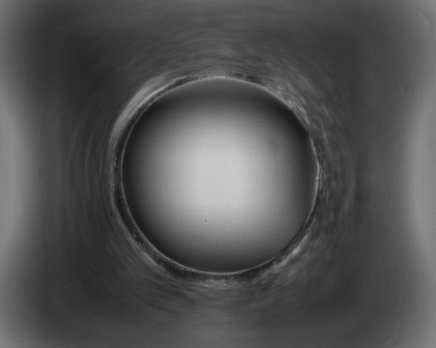 X0000083010101200703021949