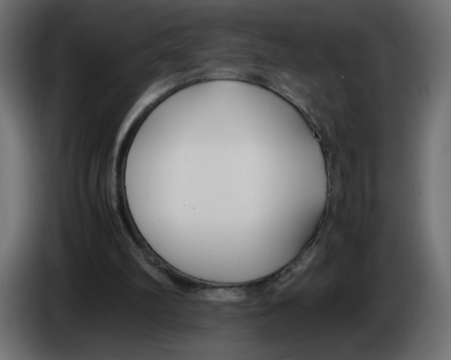 X0000083010102200703021949