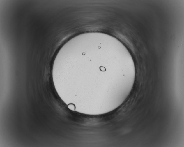 X0000083010107200703021949