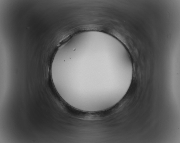 X0000083010109200703021949