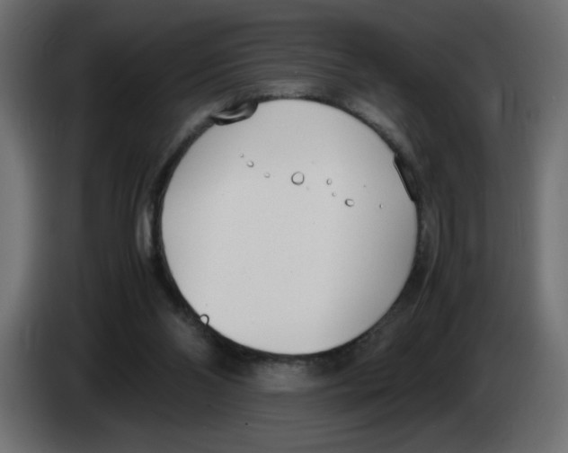 X0000083010110200703021949