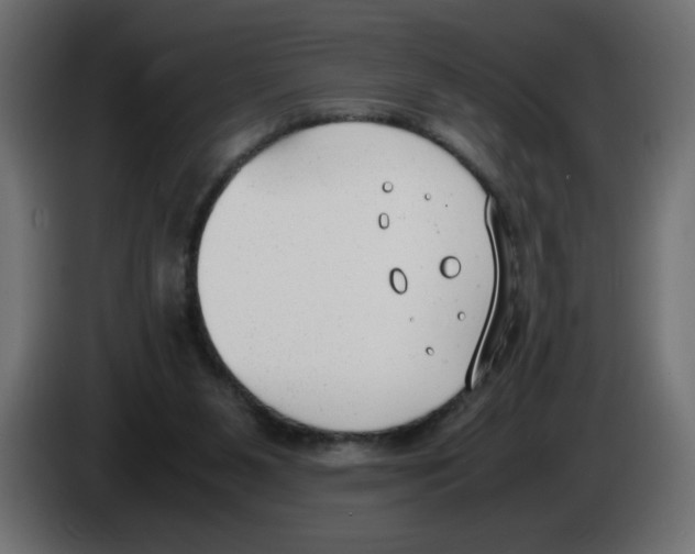 X0000083010111200703021949