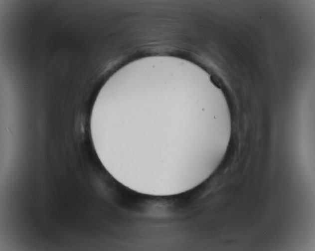 X0000083010115200703021949