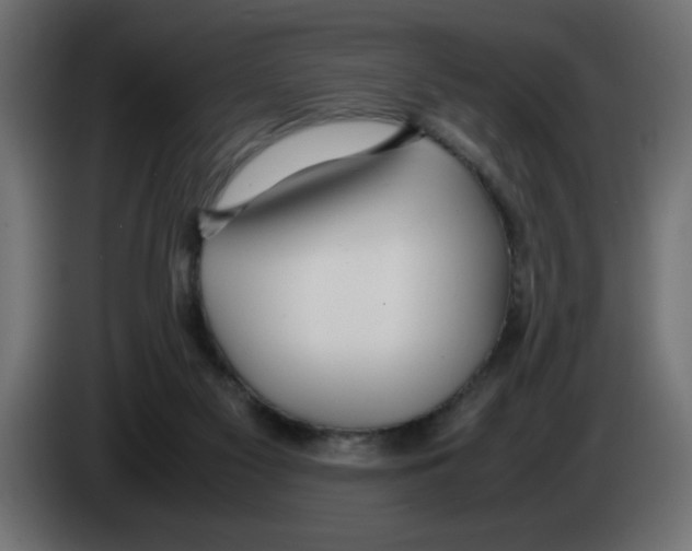 X0000083010117200703021949