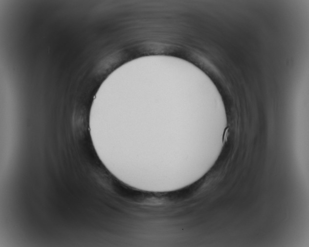 X0000083010119200703021949