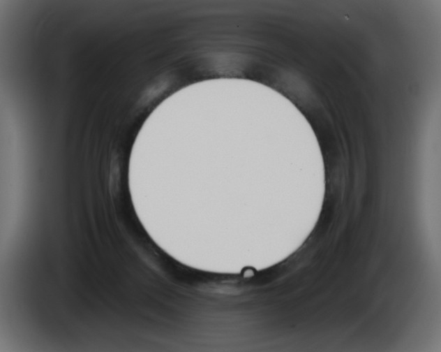 X0000083010120200703021949