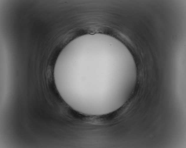 X0000083010121200703021949