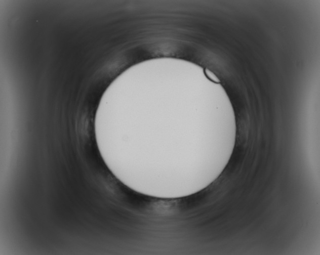 X0000083010126200703021949