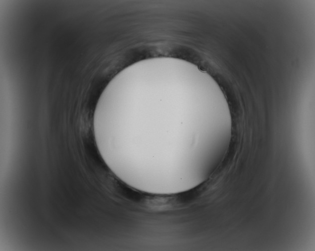 X0000083010129200703021949