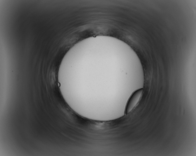 X0000083010130200703021949