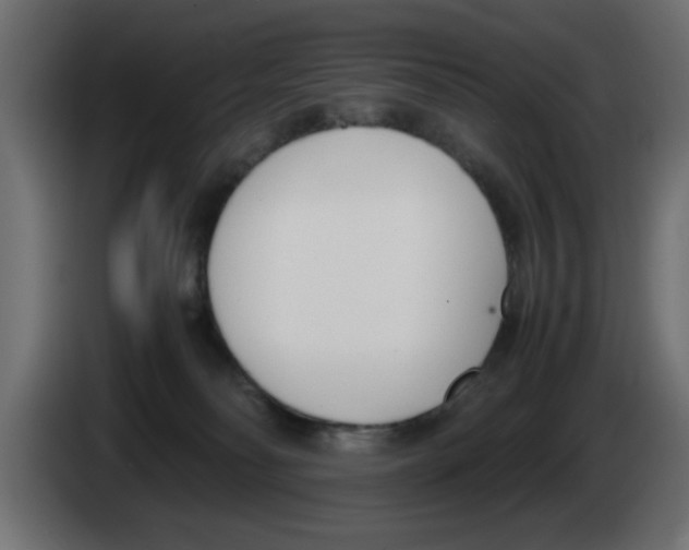 X0000083010134200703021949