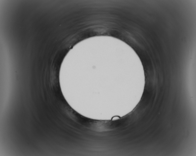 X0000083010136200703021949