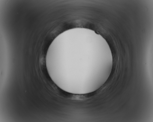 X0000083010137200703021949