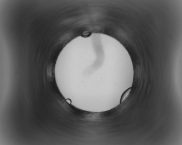 X0000083010138200703021949