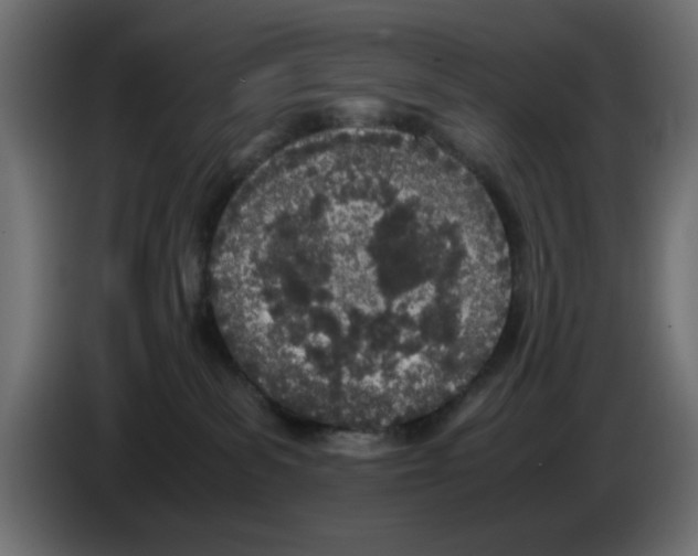 X0000083010139200703021949