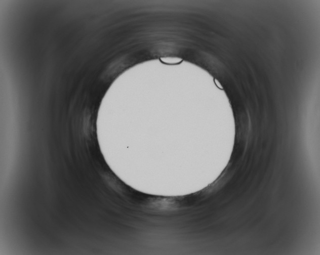 X0000083010140200703021949