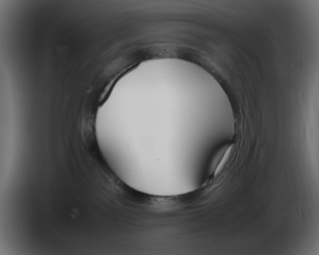 X0000083010141200703021949