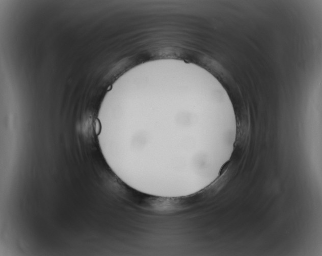 X0000083010142200703021949