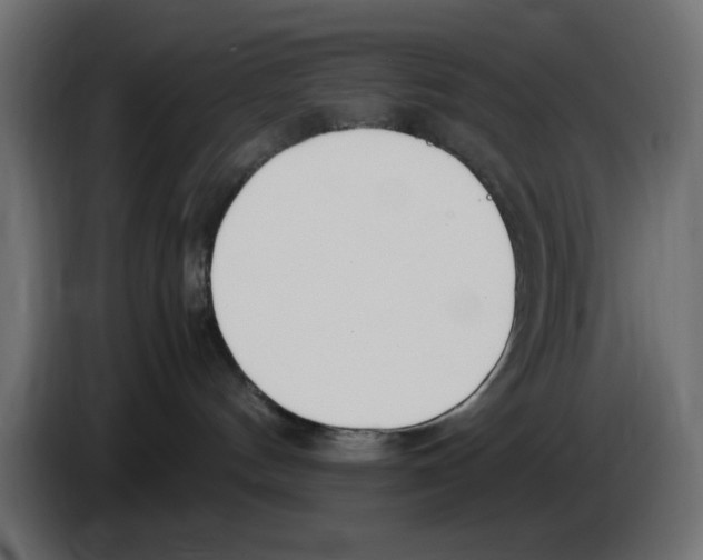 X0000083010144200703021949