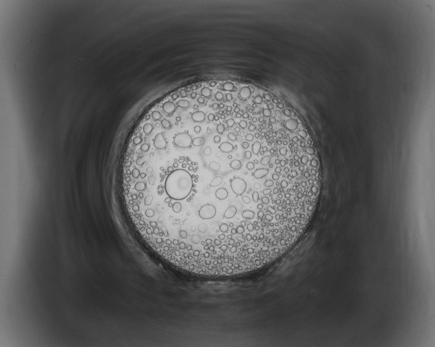 X0000083010145200703021948