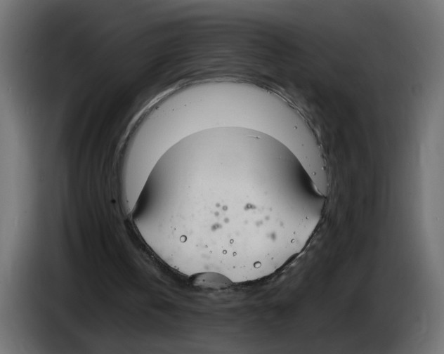 X0000083010146200703021948