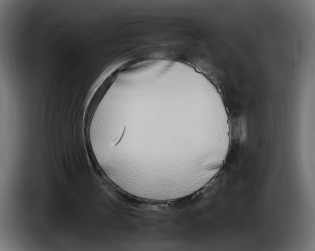 X0000083010147200703021948