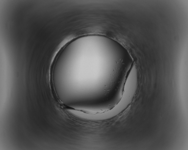 X0000083010148200703021948