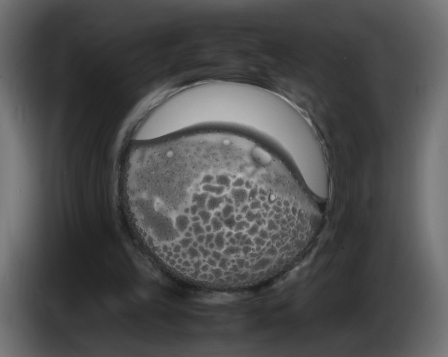 X0000083010149200703021948