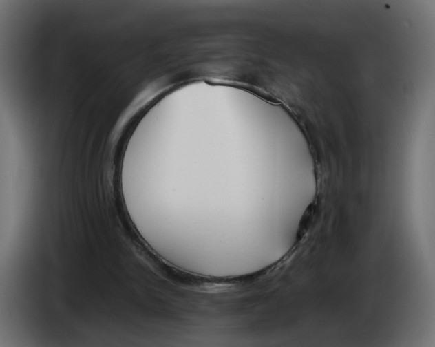 X0000083010150200703021948