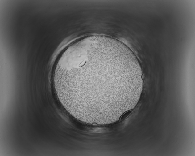 X0000083010151200703021948