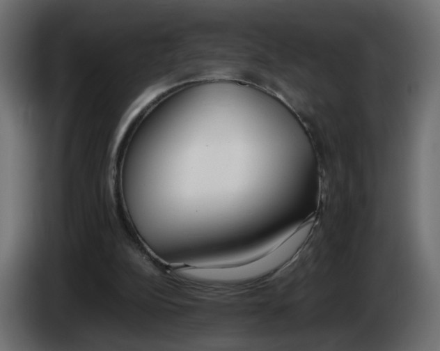 X0000083010152200703021948