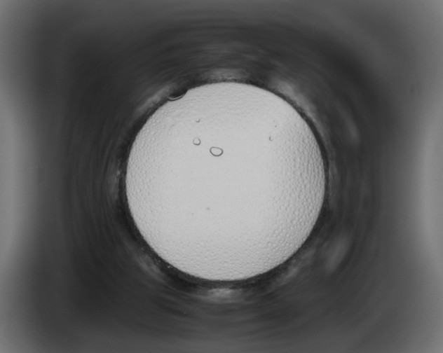 X0000083010153200703021948