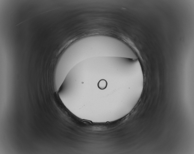 X0000083010154200703021948