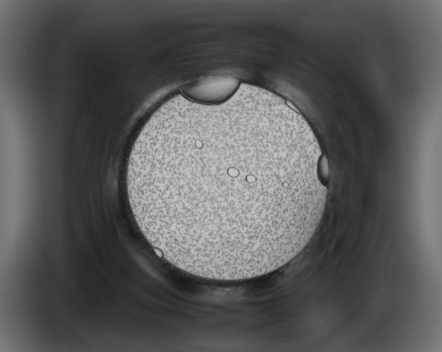 X0000083010155200703021948