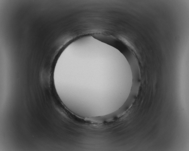 X0000083010156200703021948