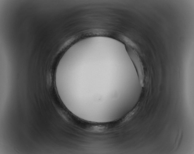 X0000083010158200703021948