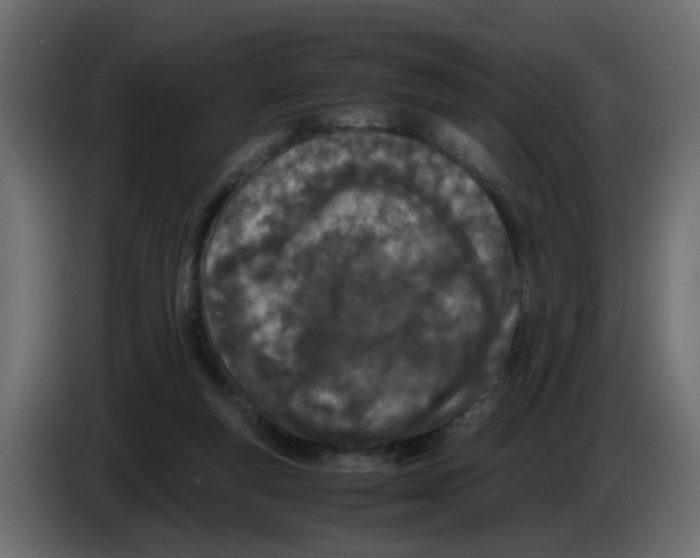 X0000083010163200703021948